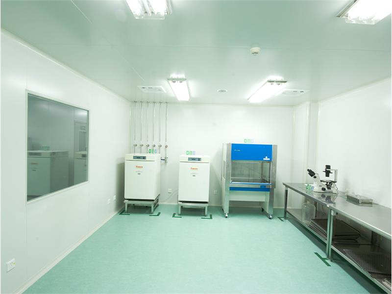 Ten thousand level purification laboratory